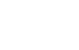 MSD Logo